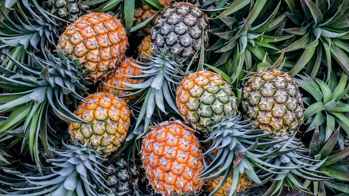 Pomelo y cítricos